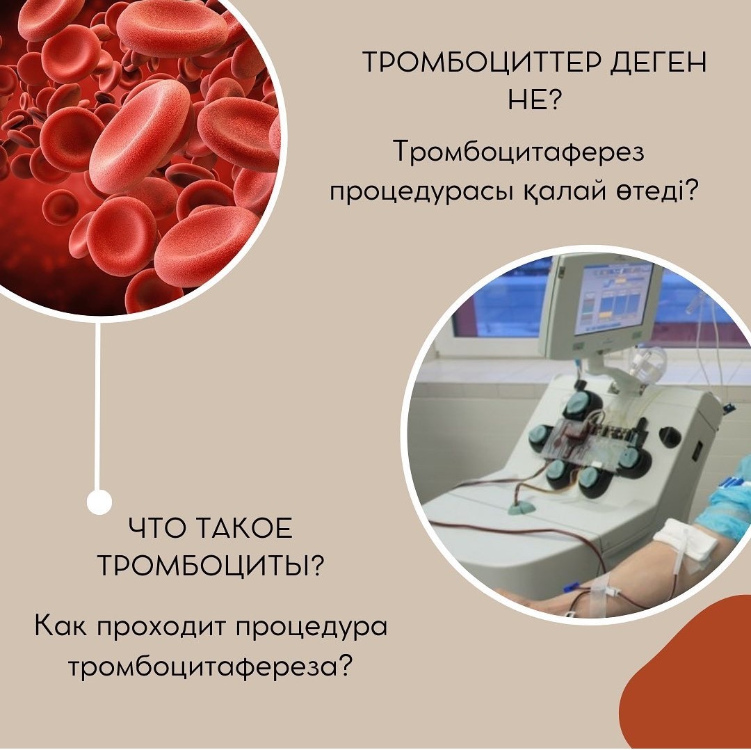 Переливание тромбоцитов проводят тест аккредитация. Переливание тромбоцитов. Тромбоциттер. Тромбоциты донорской крови. Клетка тромбоцита.